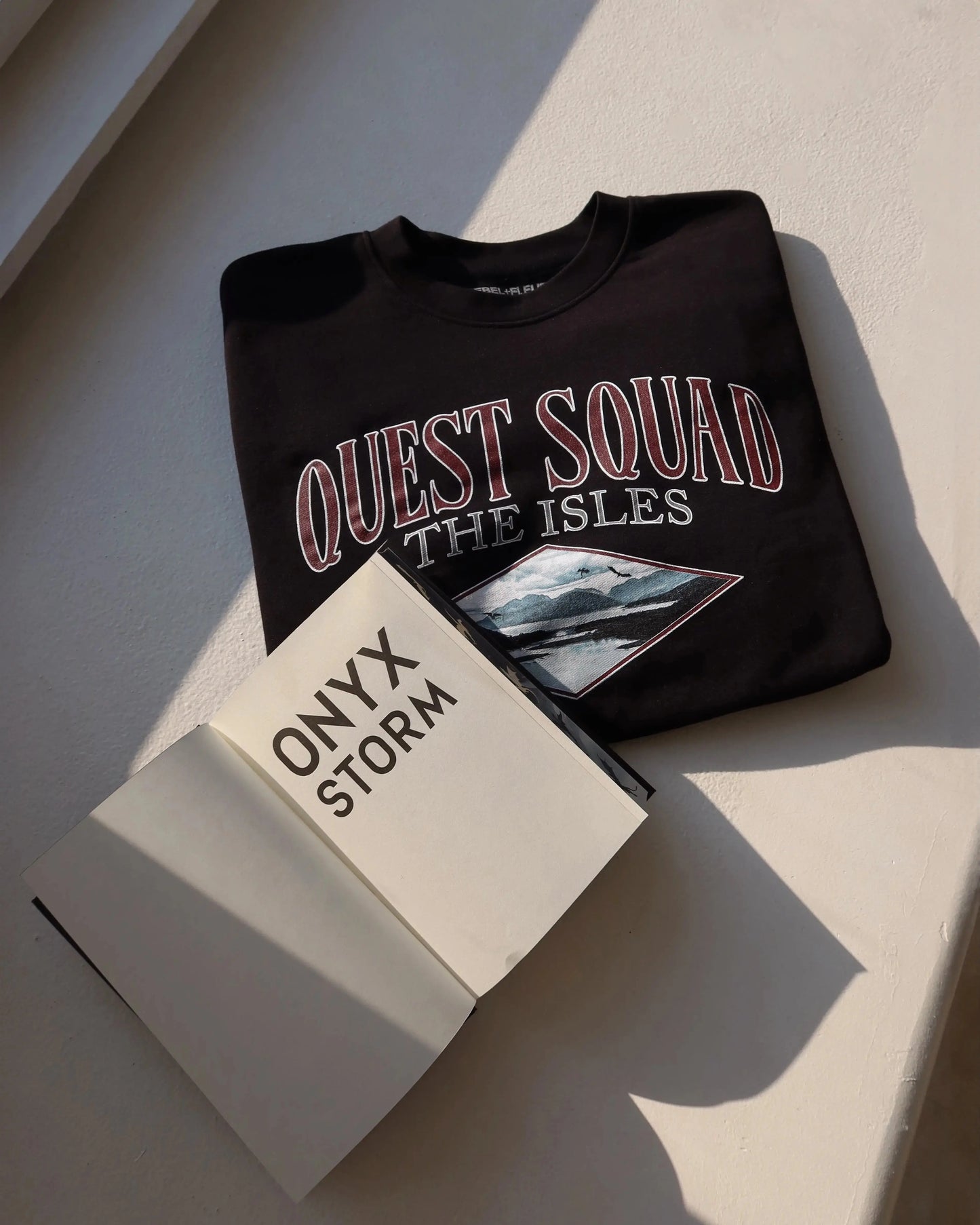 onyx storm fourth wing inspired bookish sweatshirt