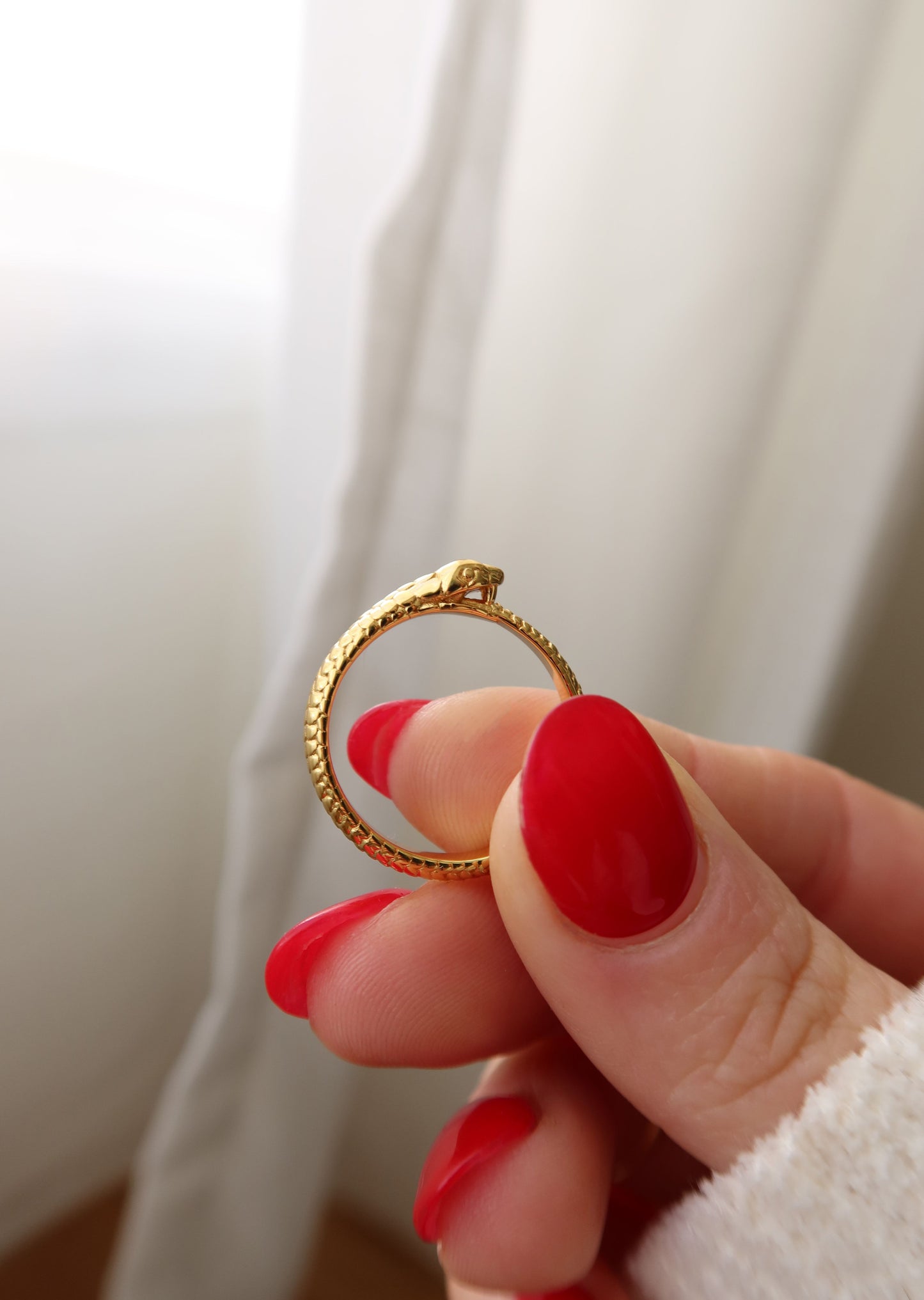 Ouroboros Ring | New!