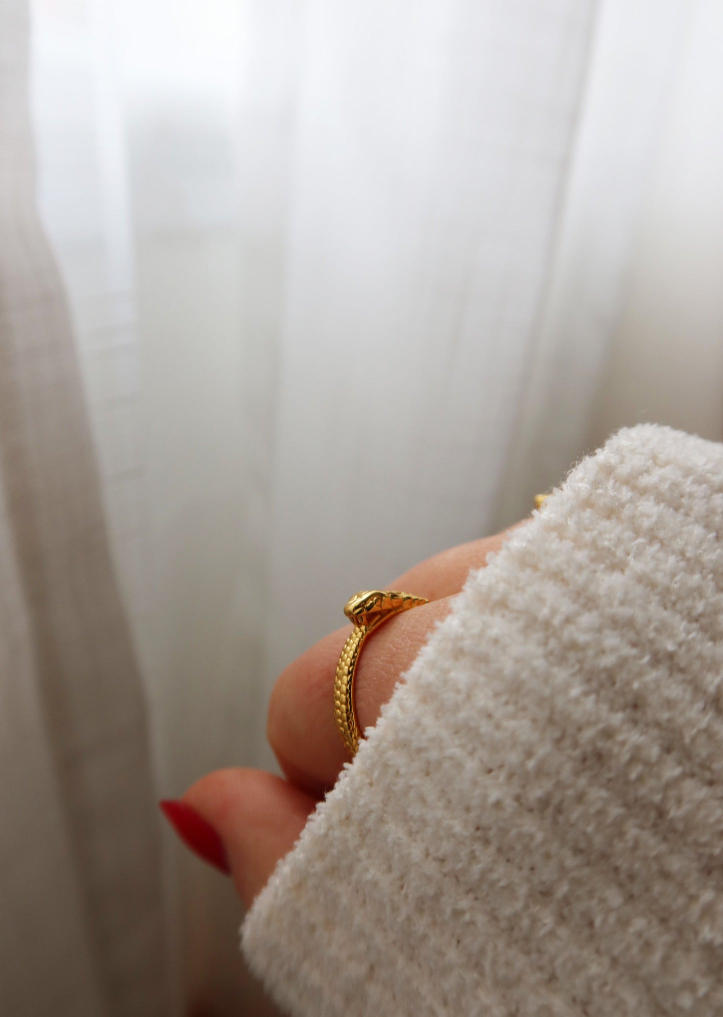 Ouroboros Ring