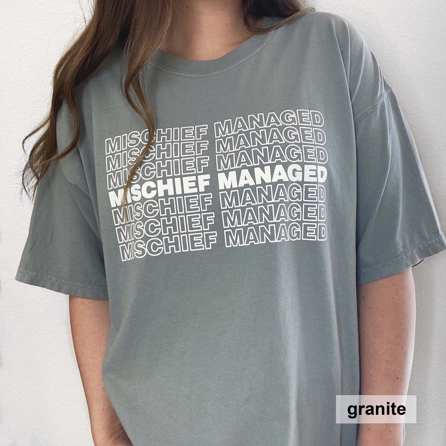 Load image into Gallery viewer, Mischief Managed T-Shirt
